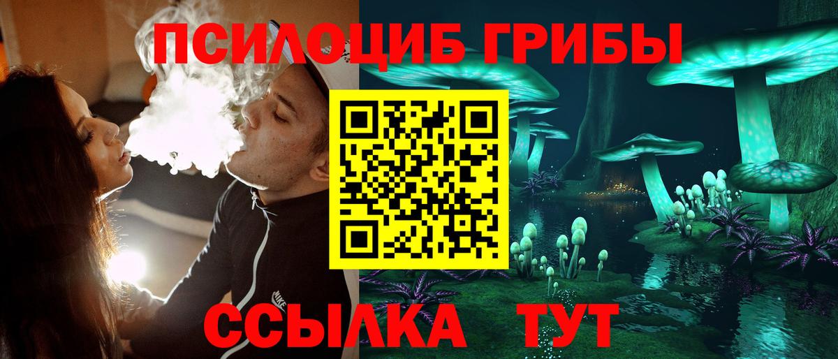 Псилоцибиновые грибы Psilocybine cubensis  Псилоцибиновые грибы MAGIC MUSHROOMS  Вход с VPN  Дмитров 